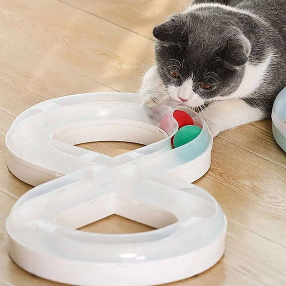 Cat Tunnel Funny Cat Fun