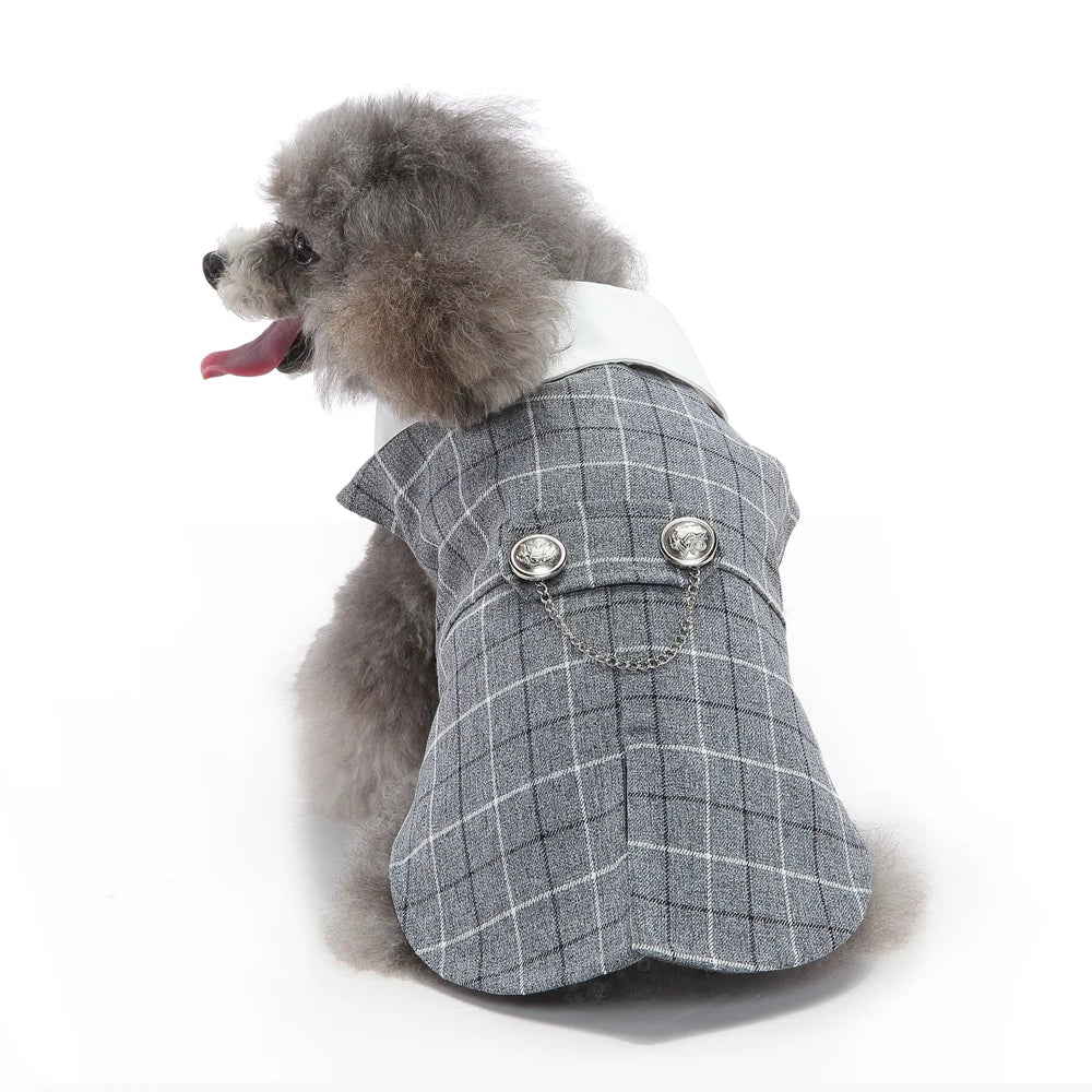 Dog Tuxedo Halloween Costume