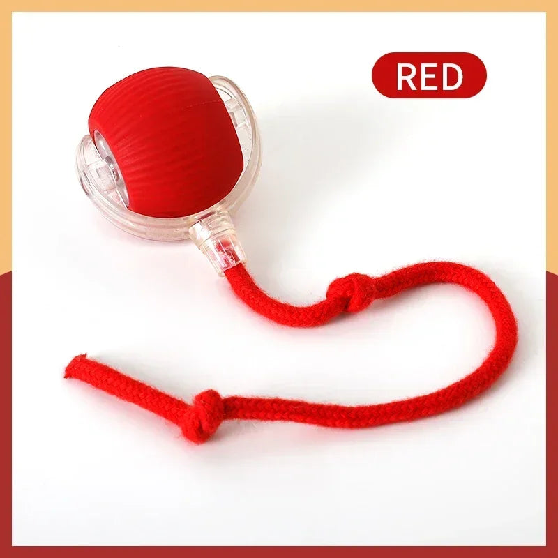 Interactive Electric Ball Cat Toy
