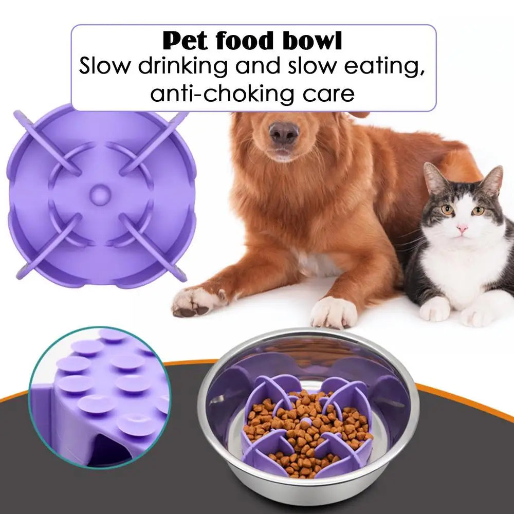 Pet Bowl Slow Feeder |