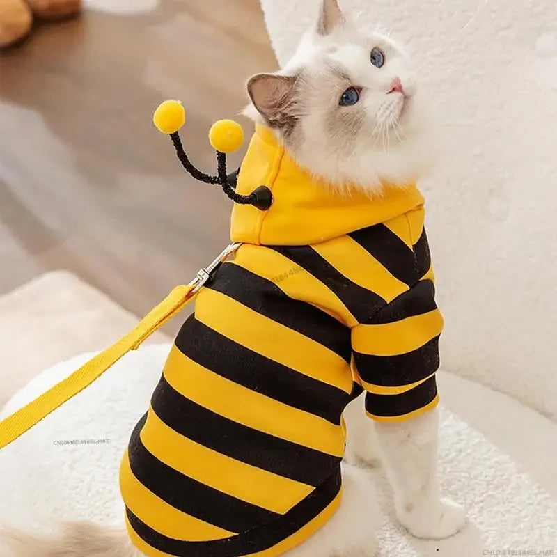 Halloween Dog Bee Costume