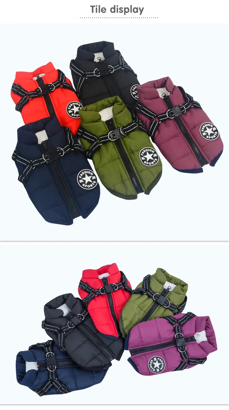 Waterproof Dog Jacket with Harness