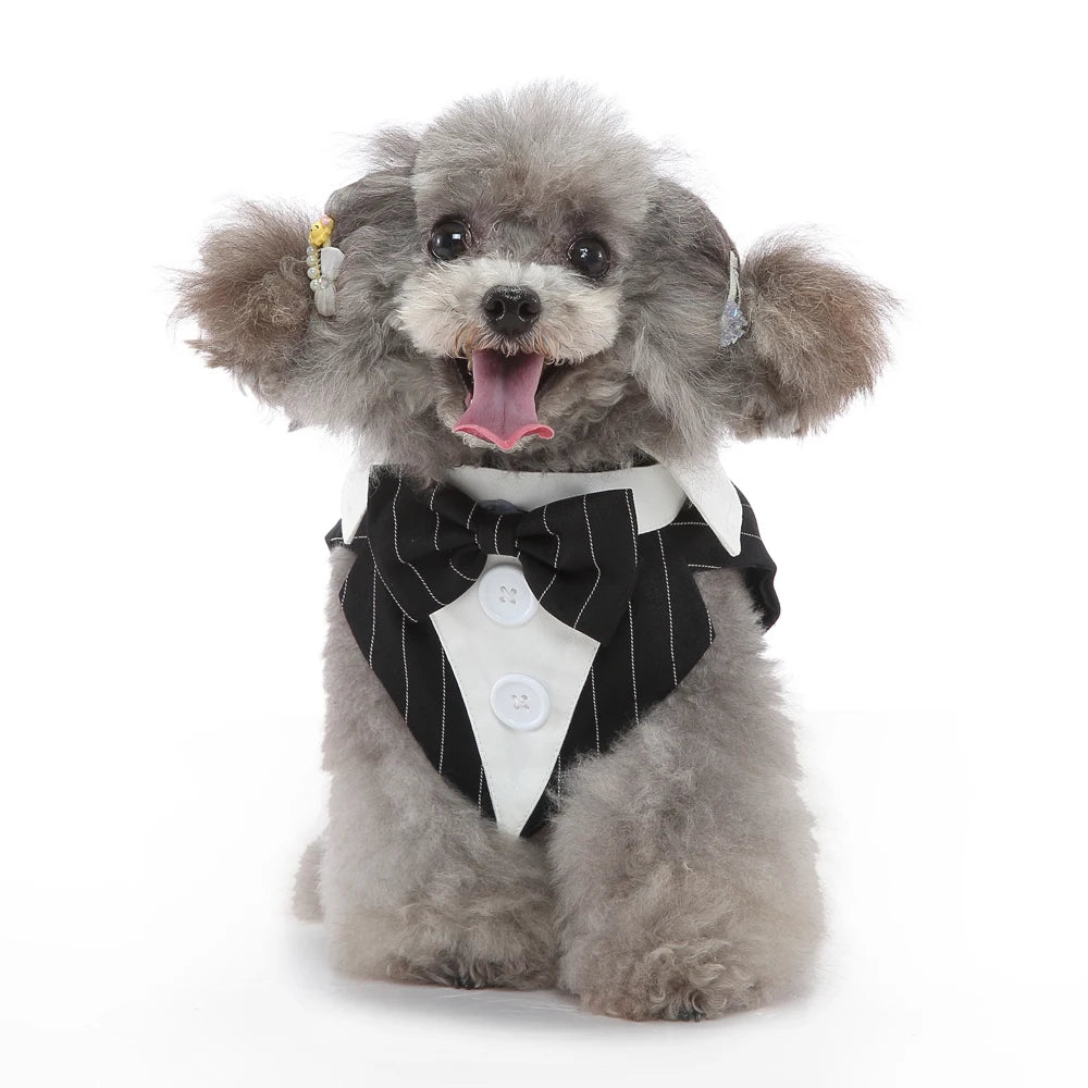 Dog Tuxedo Halloween Costume