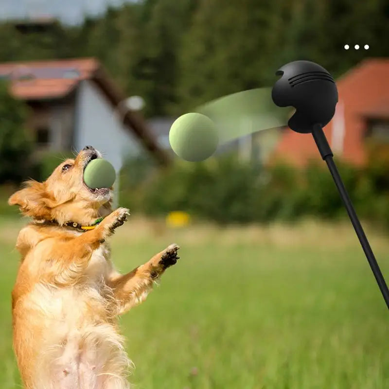 Dog Toys Throwing Pole Pet