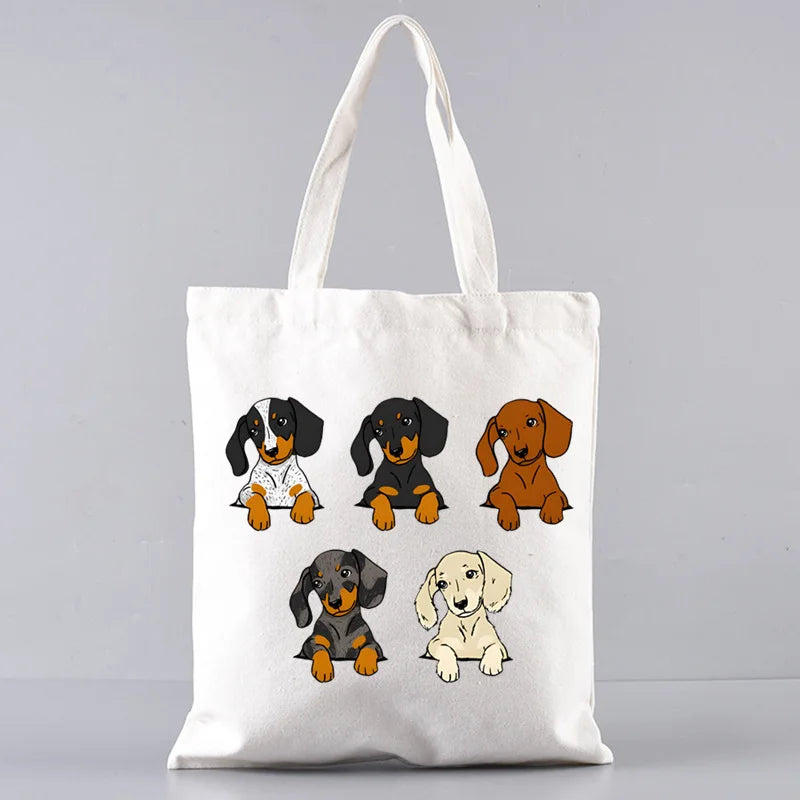 Large‑Capacity Pet Carrier Bag