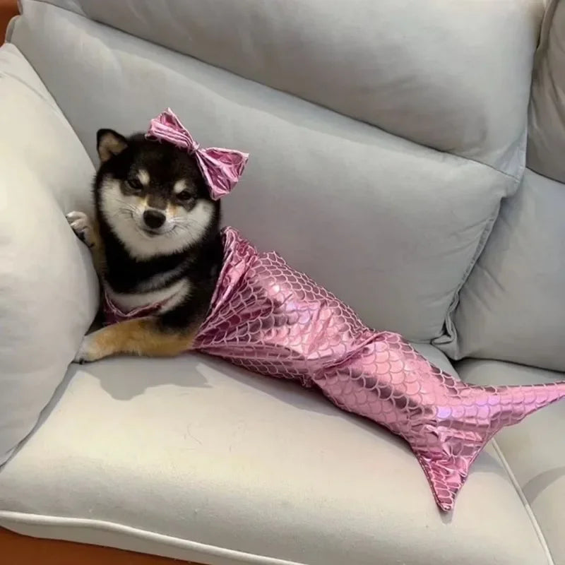 Mermaid Cat/Dog Halloween Costume