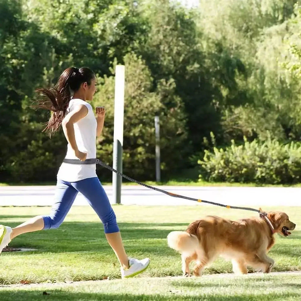 Hands-Free Adjustable Leash with Hip Bungee