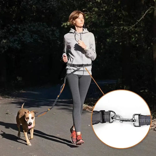 Hands-Free Adjustable Leash with Hip Bungee