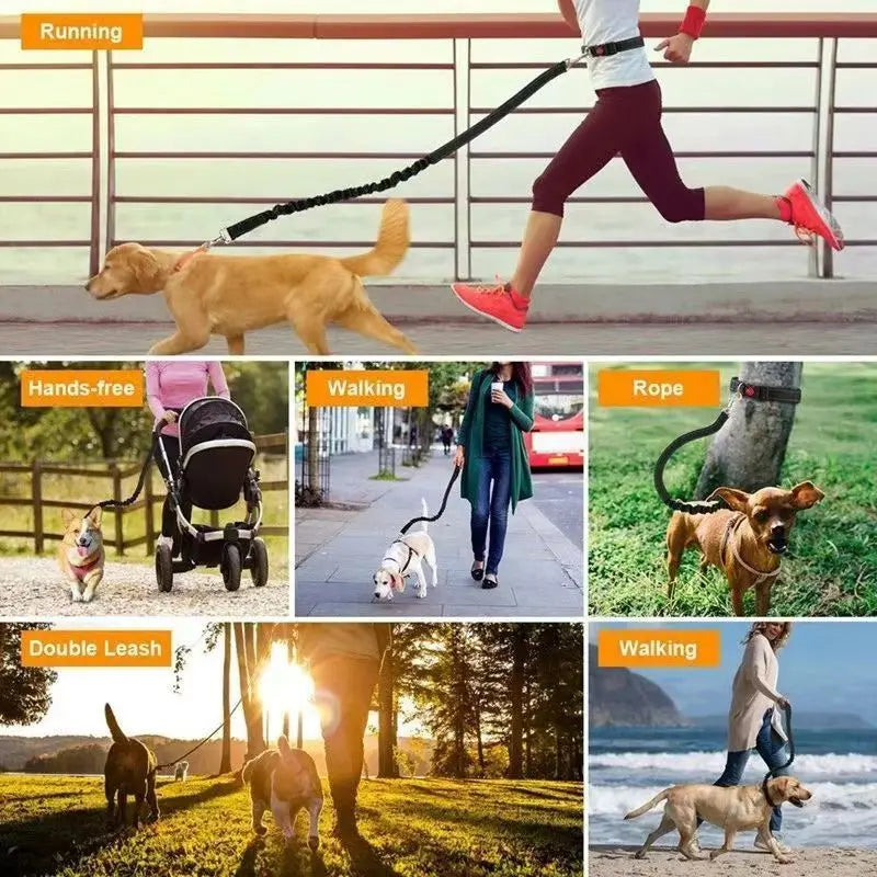 Hands-Free Adjustable Leash with Hip Bungee