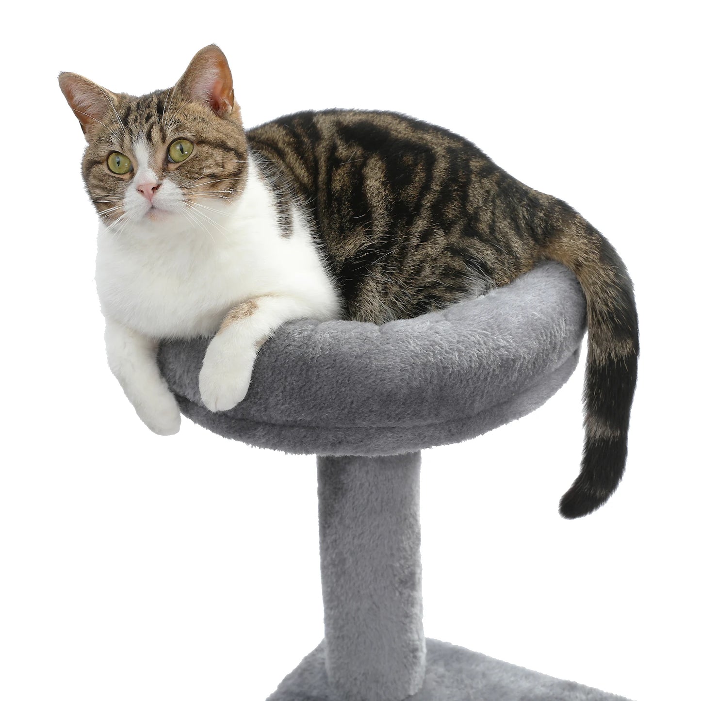 Domestic Delivery Multi-Level Cat Tree Tower Climb Furniture