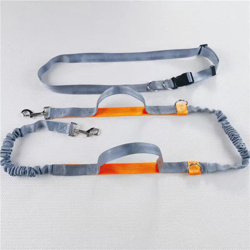 Hands-Free Adjustable Leash with Hip Bungee