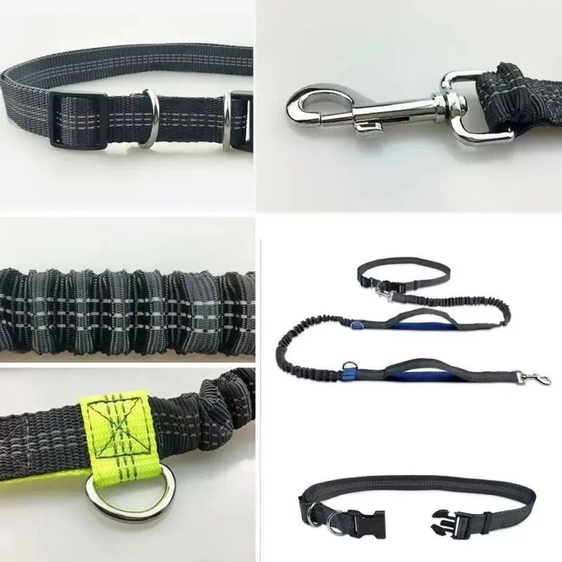 Hands-Free Adjustable Leash with Hip Bungee