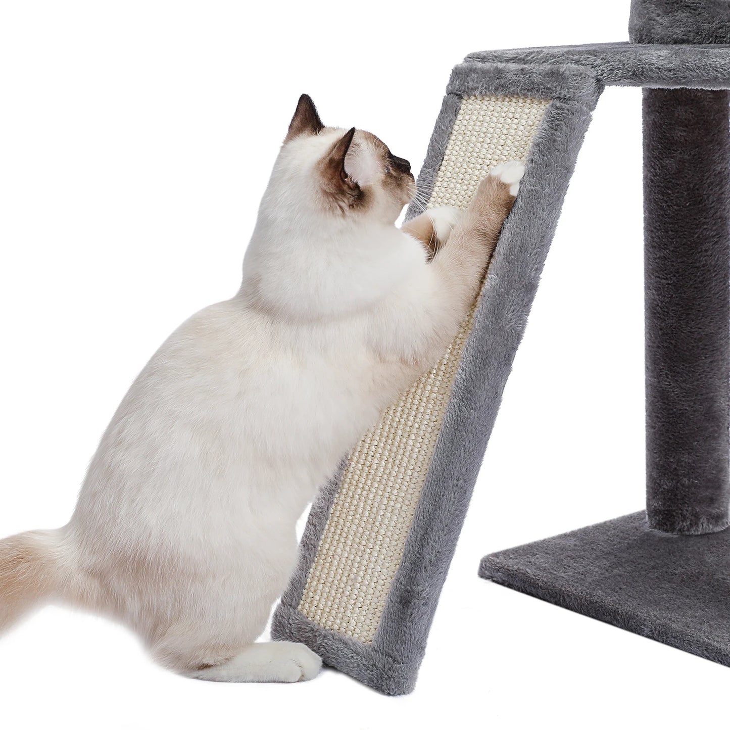 Domestic Delivery Multi-Level Cat Tree Tower Climb Furniture