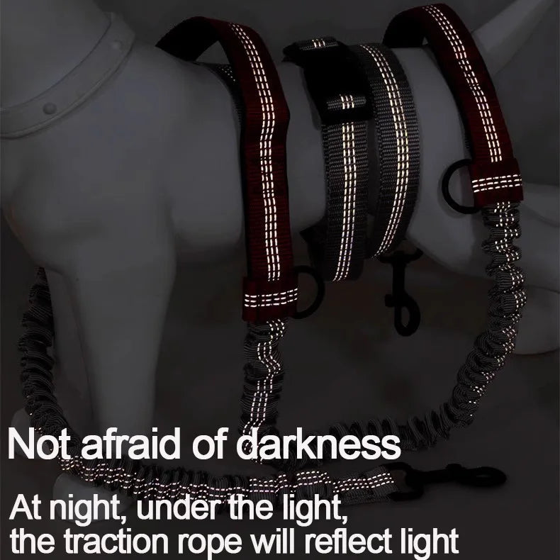 Hands-Free Adjustable Leash with Hip Bungee
