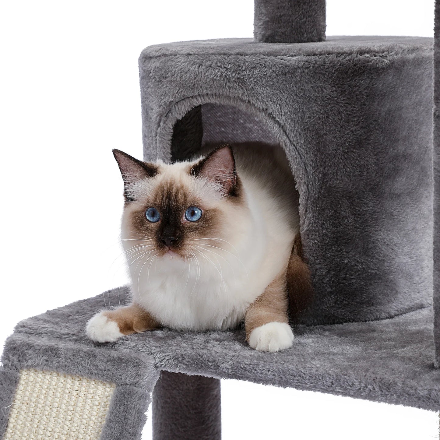 Domestic Delivery Multi-Level Cat Tree Tower Climb Furniture