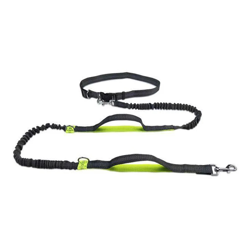 Hands-Free Adjustable Leash with Hip Bungee