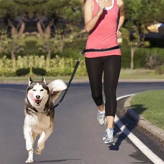 Hands-Free Adjustable Leash with Hip Bungee