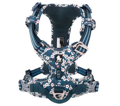 Truelove Pet Dog Harness For