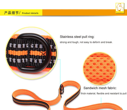 Truelove Pet Dog Leash Multi-function Reflective Hand Free T