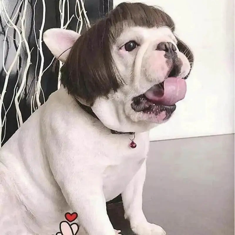 Funny Karen Wig for Dogs – Hilarious Halloween Costume