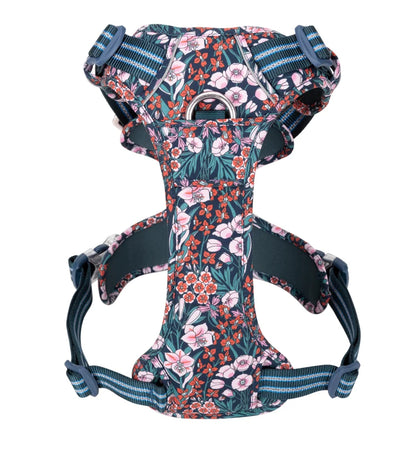Truelove Pet Dog Harness For