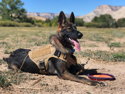 Military Large Dog Harness Collar