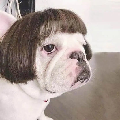 Funny Karen Wig for Dogs – Hilarious Halloween Costume