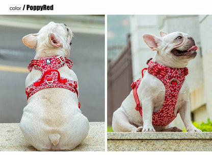 Truelove Pet Dog Harness For