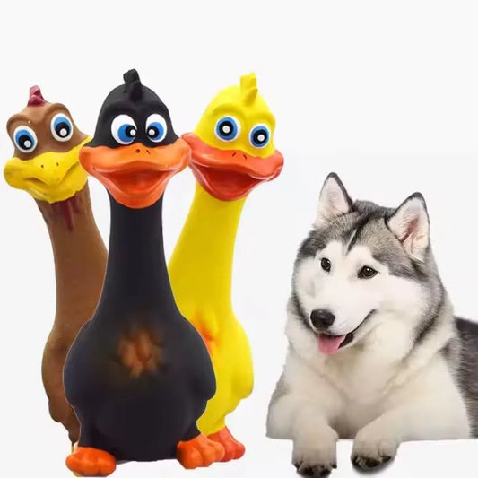 Durable Dog Chew Toy