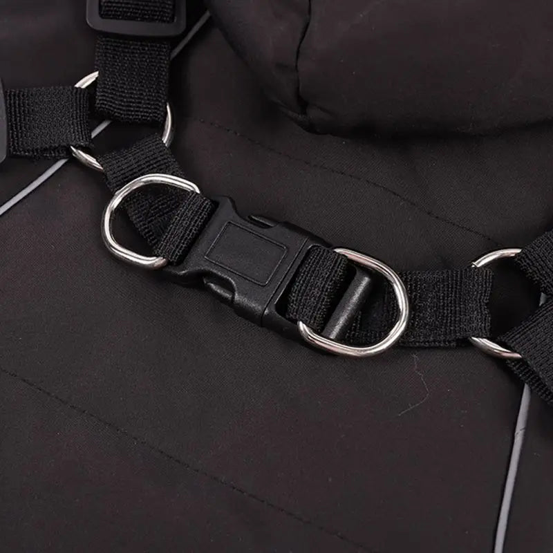 Winter Dog Jacket