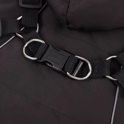 Winter Dog Jacket
