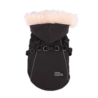 Winter Dog Jacket