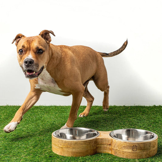 Double Cat Bowl with Stand