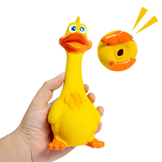 Durable Dog Chew Toy