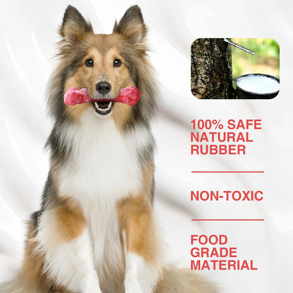 Durable Dog Chew Toy