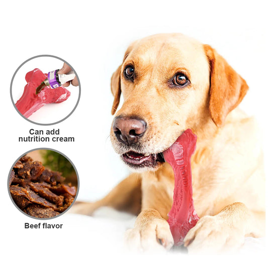 Durable Dog Chew Toy