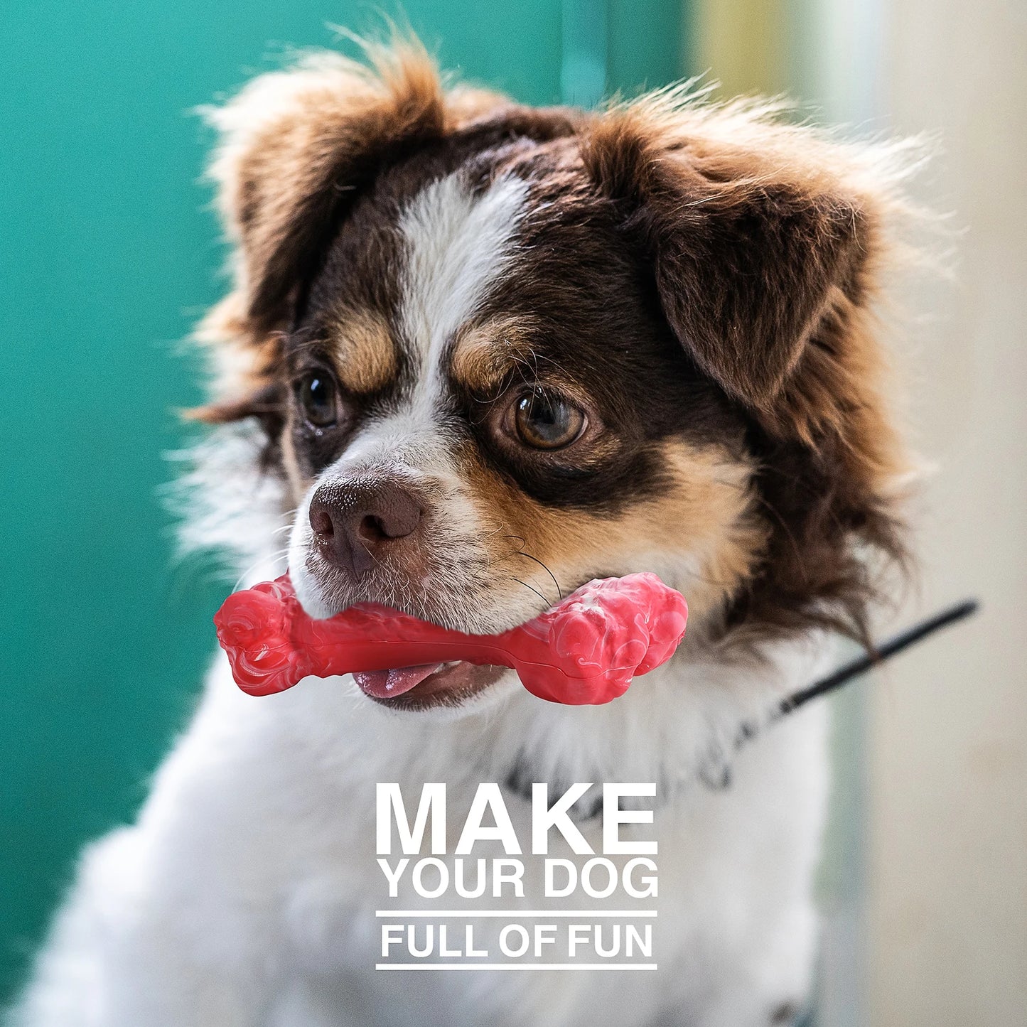 Durable Dog Chew Toy