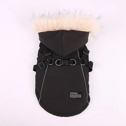 Winter Dog Jacket