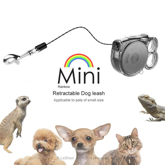 Mini Retractable Dog Leash