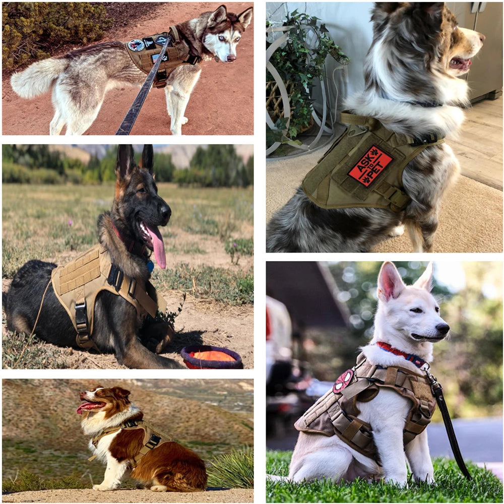 Military Large Dog Harness Collar