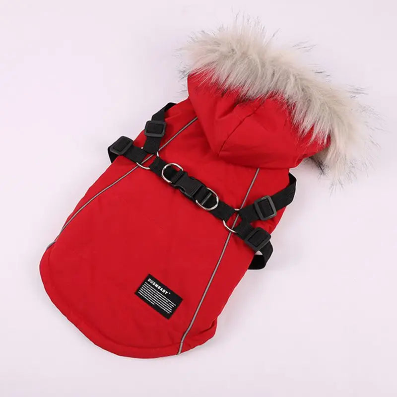 Winter Dog Jacket