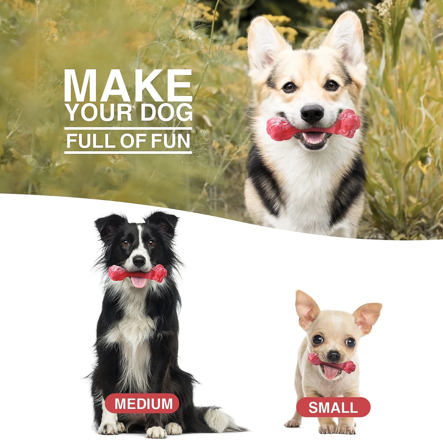 Durable Dog Chew Toy