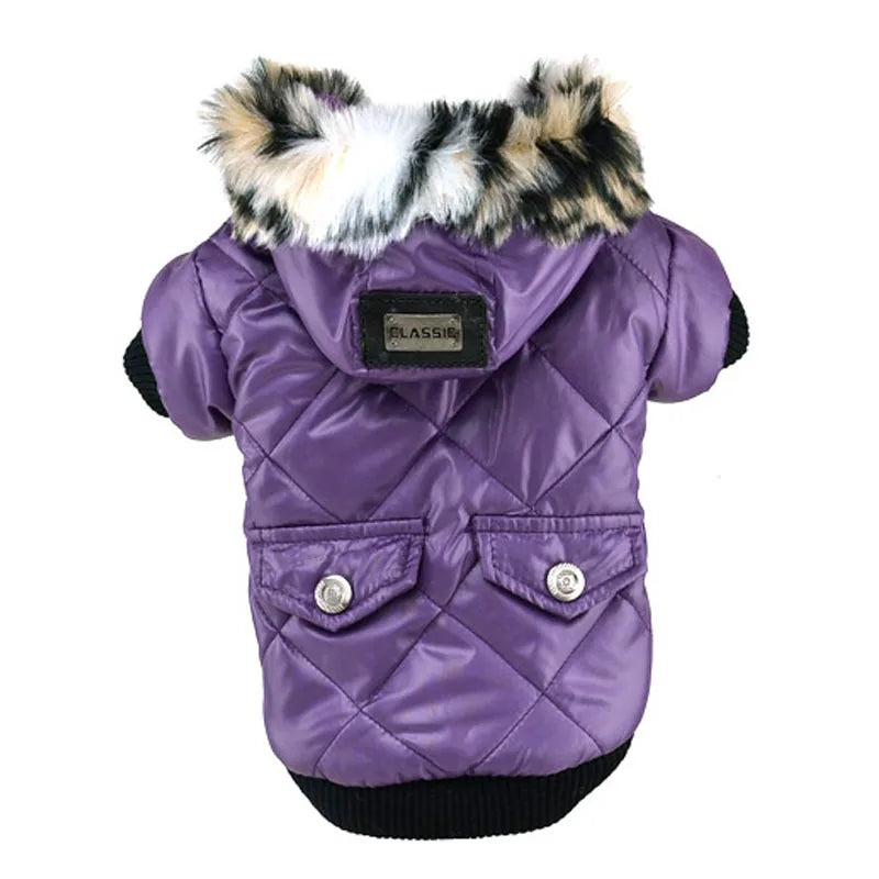 Winter Dog Jacket