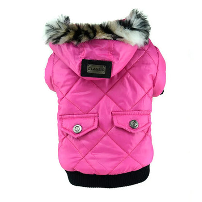 Winter Dog Jacket