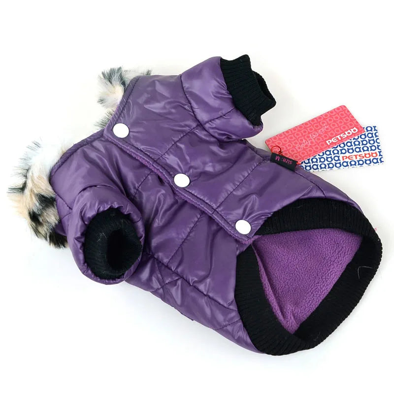 Winter Dog Jacket