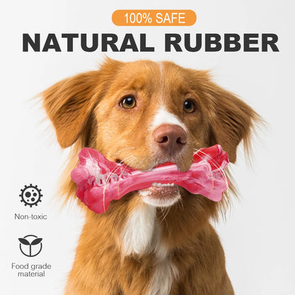Durable Dog Chew Toy