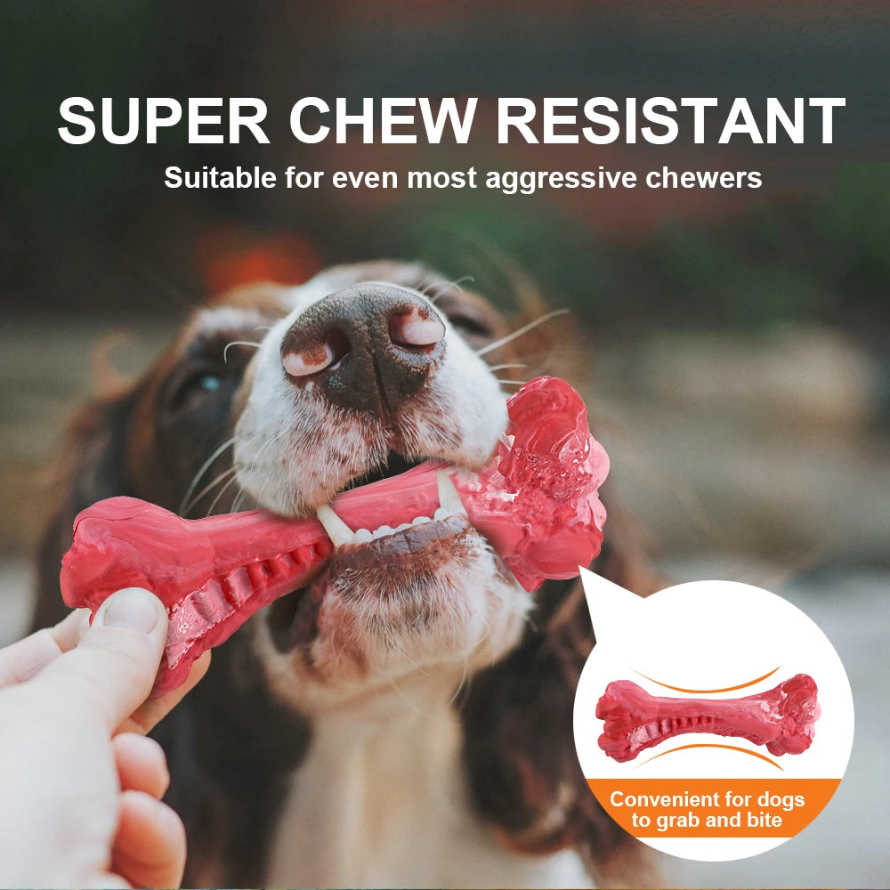 Durable Dog Chew Toy