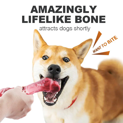 Durable Dog Chew Toy