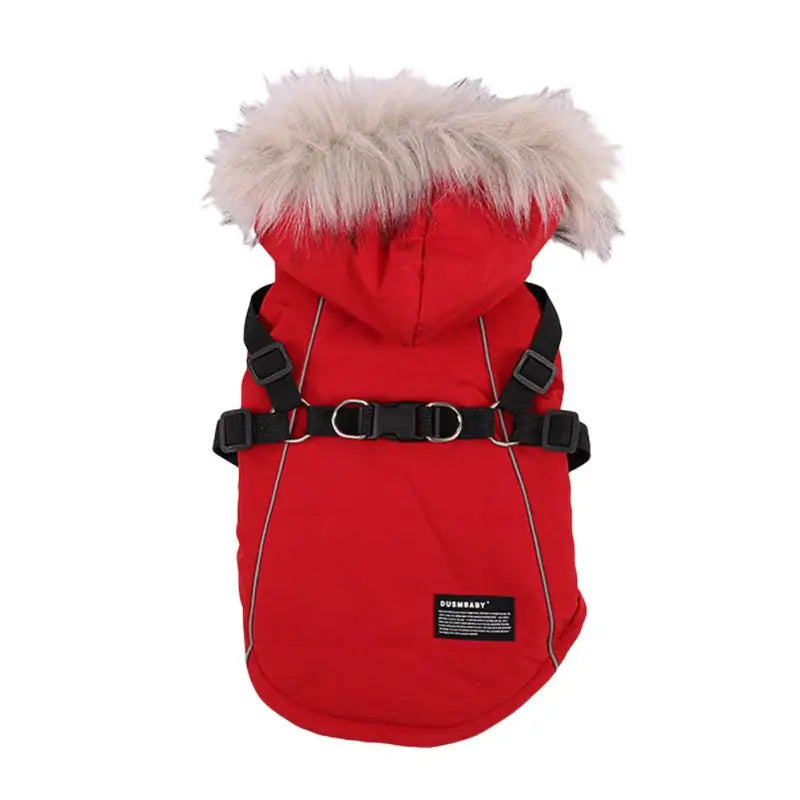 Winter Dog Jacket