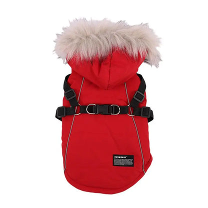 Winter Dog Jacket
